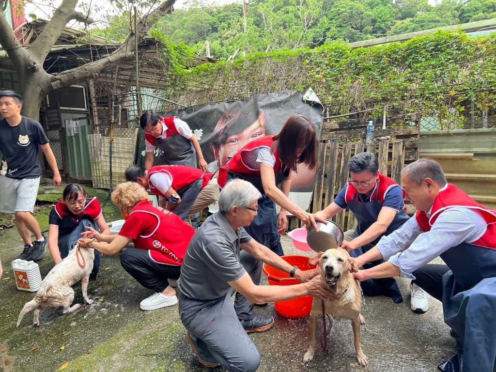 病老犬貓過好年！國都汽車百萬善款挹注飼料醫療費用