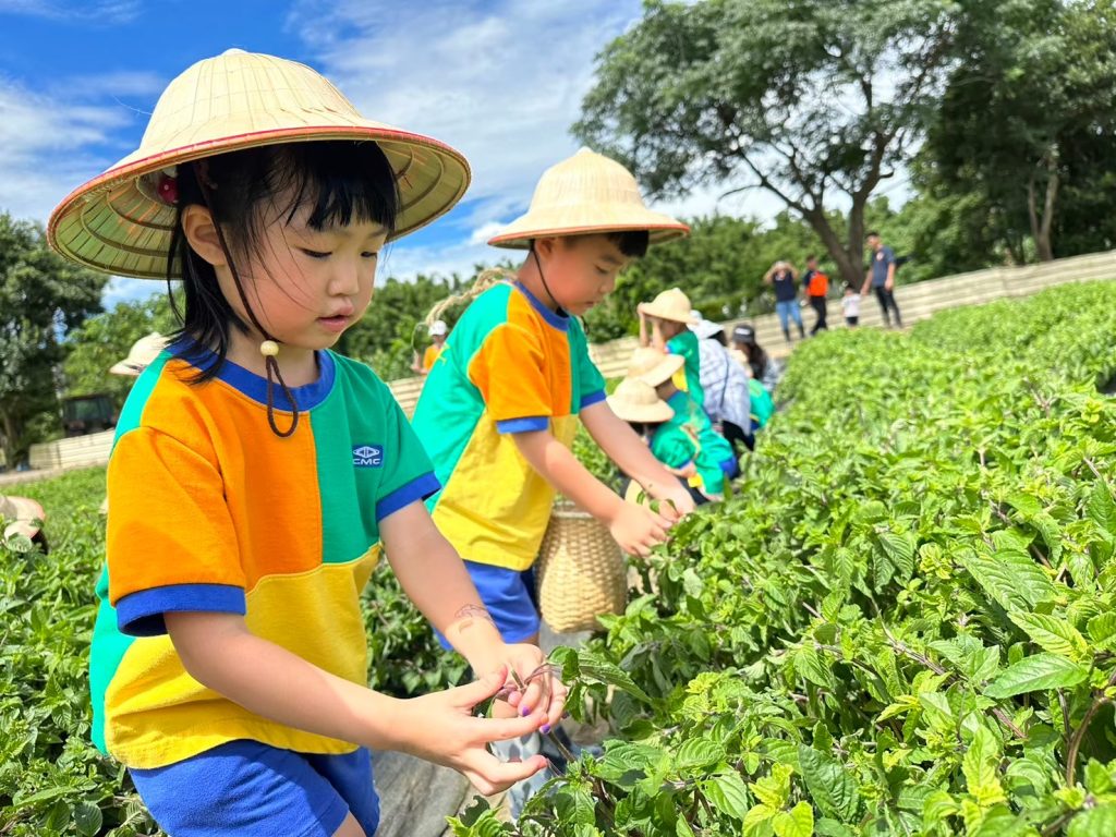 桃園好農 14台得利卡行動直銷車加入推廣行列產地直送拉拉山媽媽桃 楊梅農會仙草彩繪車現身中華汽車
