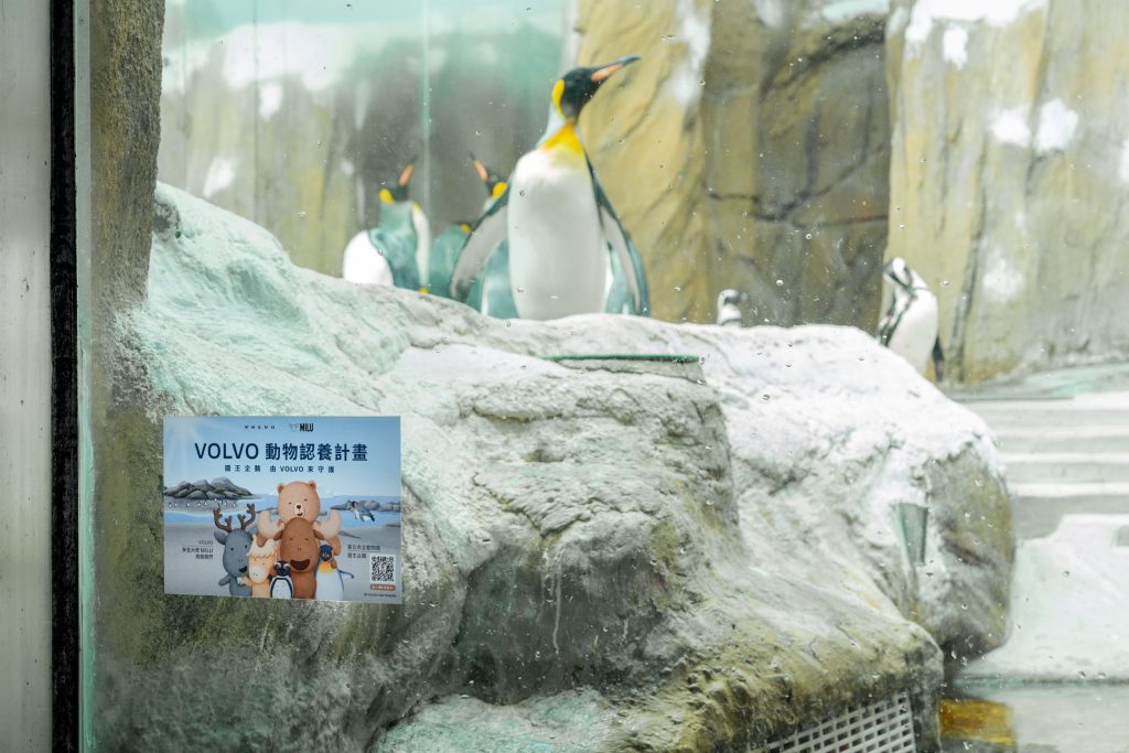 VOLVO再度攜手臺北市立動物園　擴大守護企鵝保育 推動永續親子體驗新典範