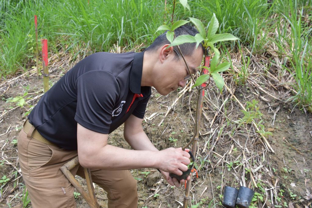 普利司通再攜林業保育署守護台灣！認養瀕危原生樹種林地 落實企業永續行動