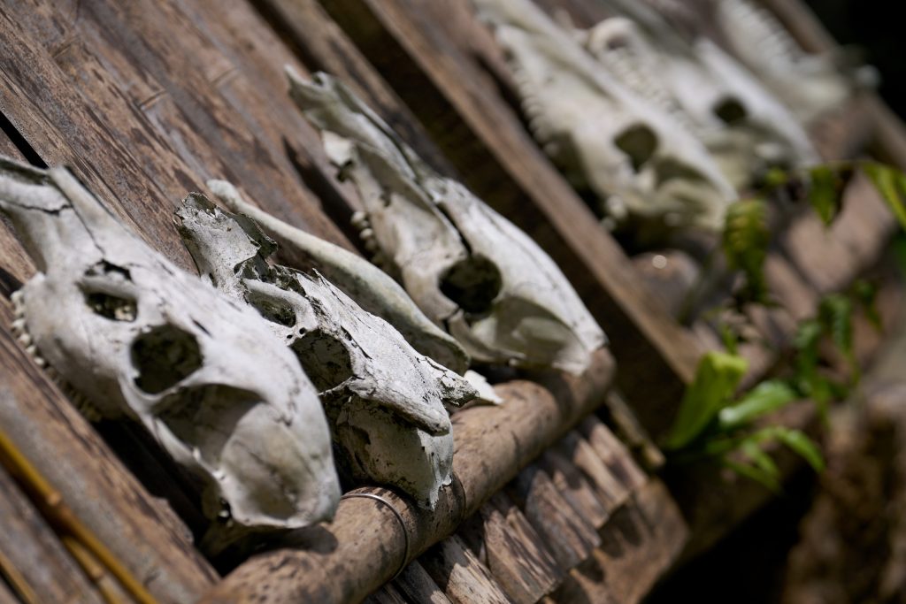 DEFENDER攜手宜蘭寒溪不老部落　文化共創、守護歷史記憶的新篇章