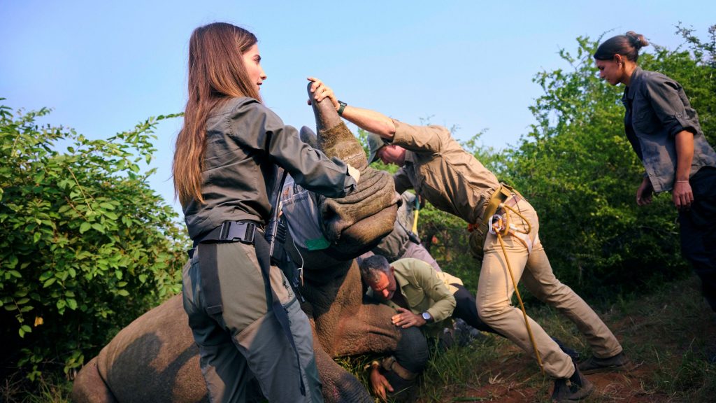 DEFENDER TROPHY 全球探險挑戰賽 3 月登陸屏東｜台灣資格賽開放線上甄選